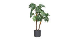 Monstera 110 cm