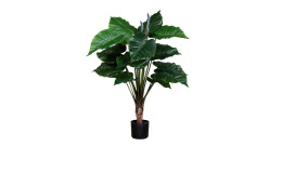 Taro 100 cm 