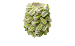 Vase Carambola in grün