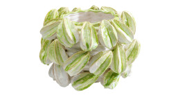 Vase Carambola in grün