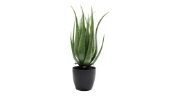Deko-Pflanze 69 cm hoch