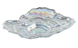 Muschelschale Poesia 23 x 17 cm