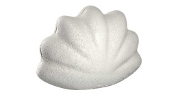 Muschel Salerno 10 cm in beige