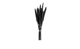 Bund Babala 15 cm  