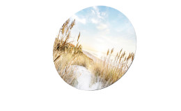 Glasbild Wilder Strand 50 cm, Strandlandschaft