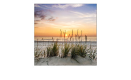 Glasbild Lonely Dune 30 x 30 cm, Strandlandschaft