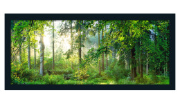 Rahmenbild Forest Harmony 60 x 130 cm
