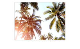 Leinwandbild Malibu 90 x 120 cm