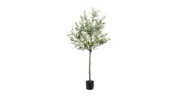 Olivenbaum 180 cm in grünen Blättern und schwarzen Oliven aus Kunststoff.