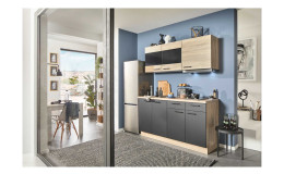 Express, Win / Plan, Magnolia / Wildeiche