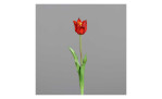 Tulpe 48 cm aus Kunststoff und Polyurethan mit einer roten Tulpe und grünen Stiel und Blätter. Auf einem grauen Hintergrund.