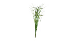 Papyruszweig 67 cm in grün