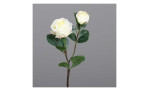 Rose 57 cm in weiß mit einem grauen Hintergrund