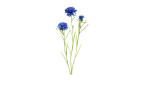 Kornblume 64 cm in blau