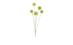 Distel 74 cm in gelb