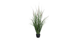 Gras 96 cm 