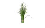 Stehgras 65 cm