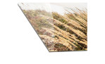 Glasbild Sunrise 30 x 80 cm, Strandlandschaft, Detailfoto