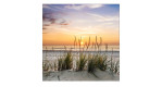 Glasbild Lonely Dune 30 x 30 cm, Strandlandschaft
