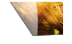 Glasbild Mystic Light 20 x 20 cm. Glasbild mit dem Thema - Licht und Wald. Detailansicht der Ecke.